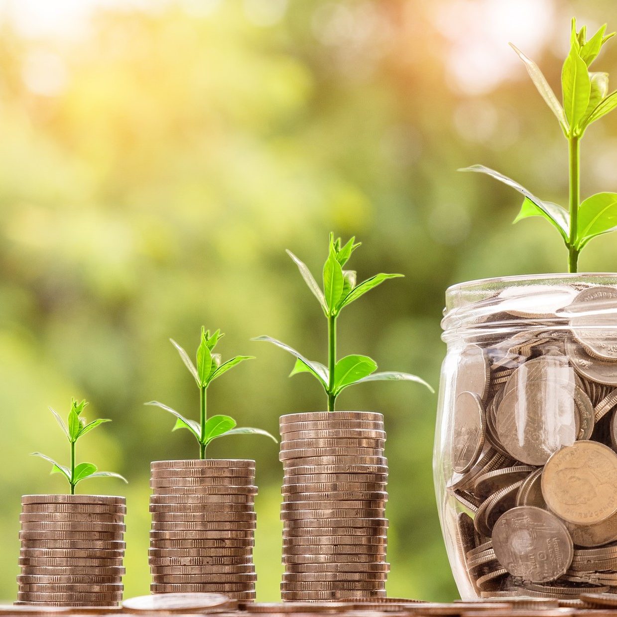 grow_money Investing & Saving your money